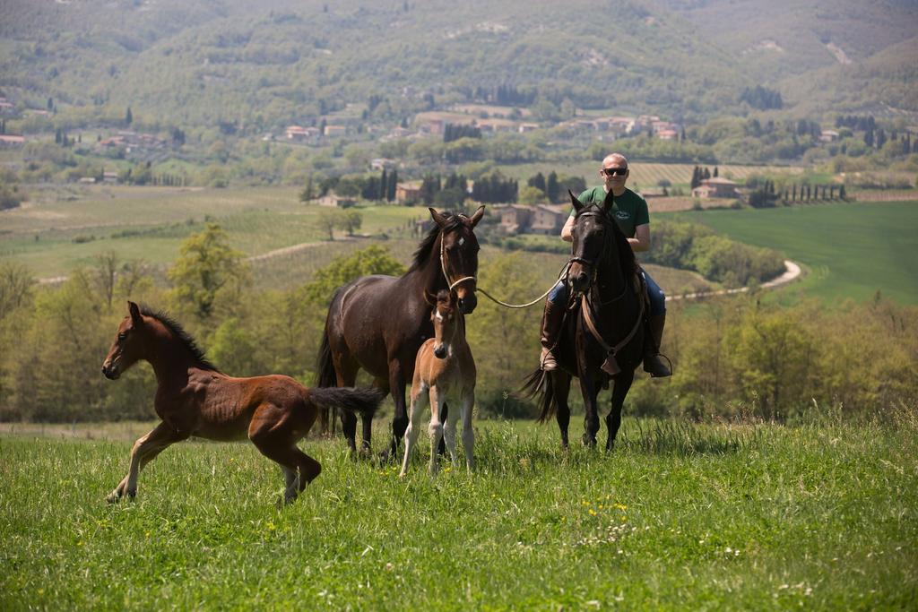 Poggiovalle Tenuta Italiana Città della Pieve Exteriér fotografie
